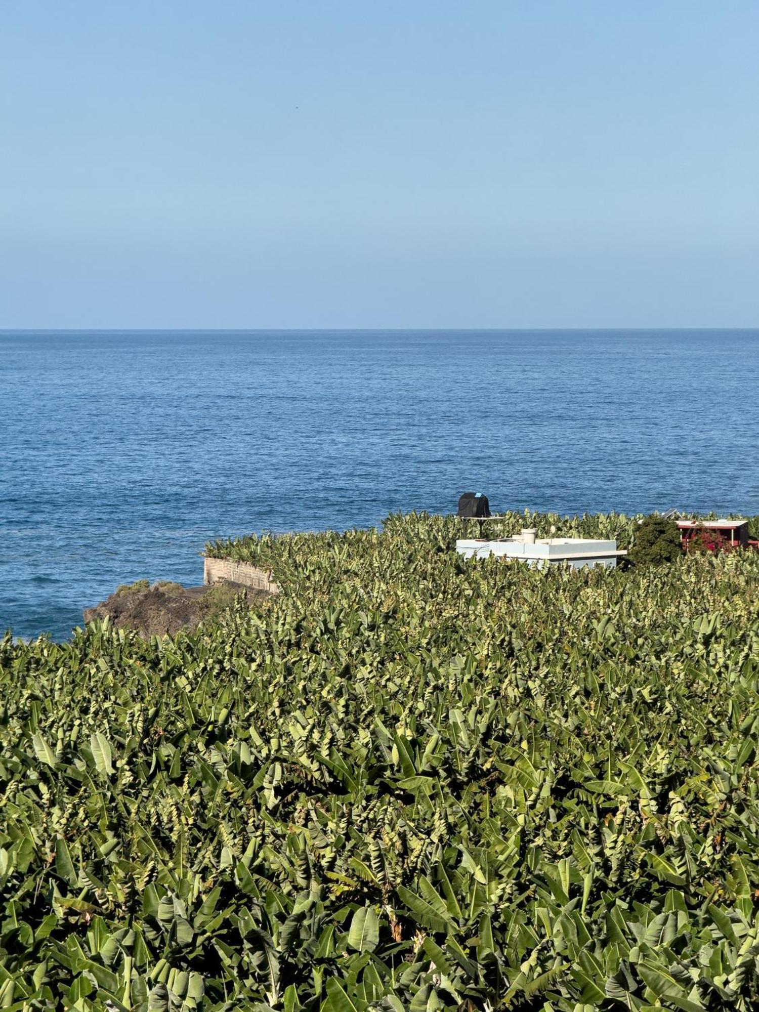 Holiday home Rooftop Casa El Banco By Rural La Palma